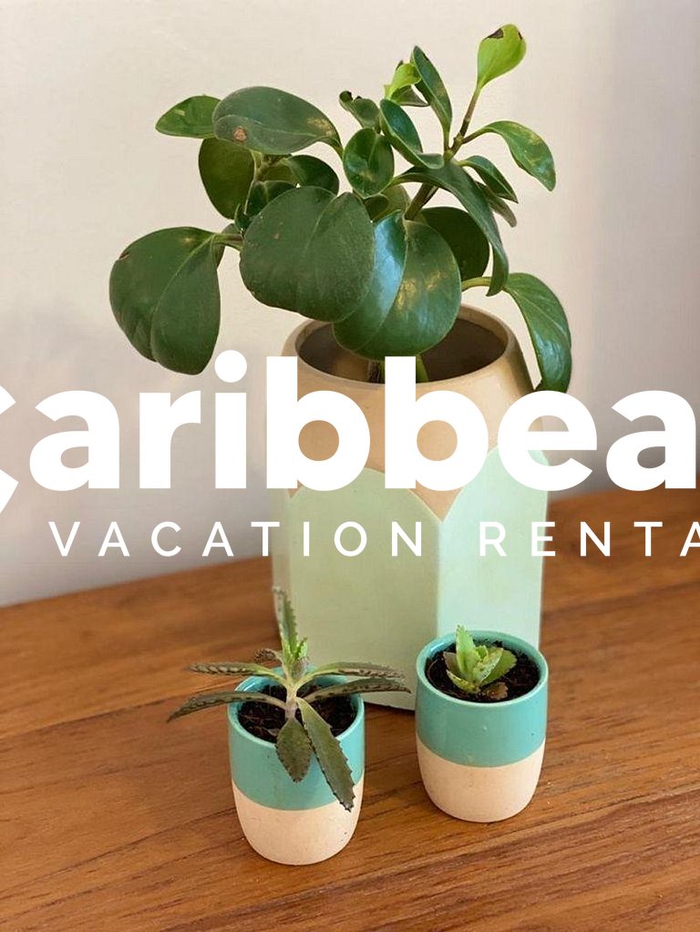 Beach Garden | Poolside Ground Condo