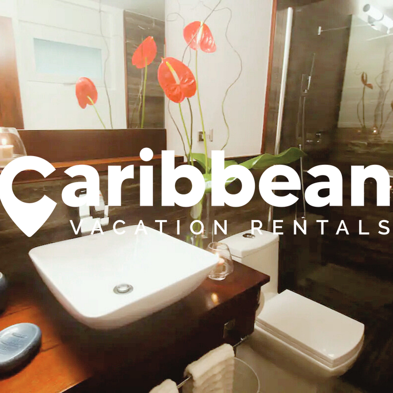 Beachfront condo on Los Corales Beach, Playa Bavaro